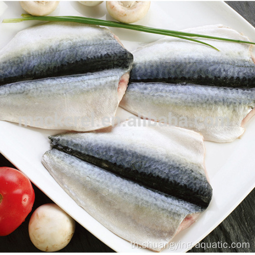 Frozen Fish Pacific Mackerel Flap พร้อมมาตรฐานของสหภาพยุโรป